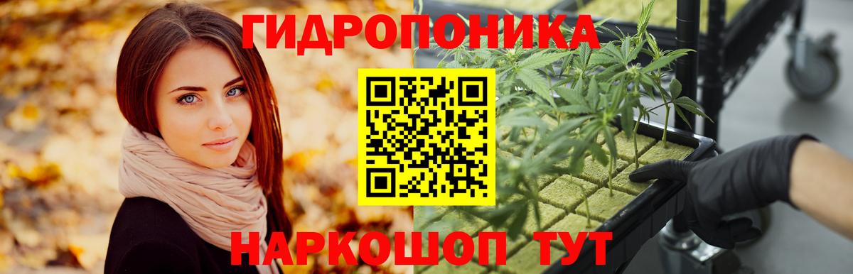 Бошки марихуана LSD WEED Кингисепп